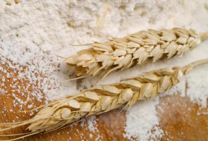 мягкие сорта пшеницы