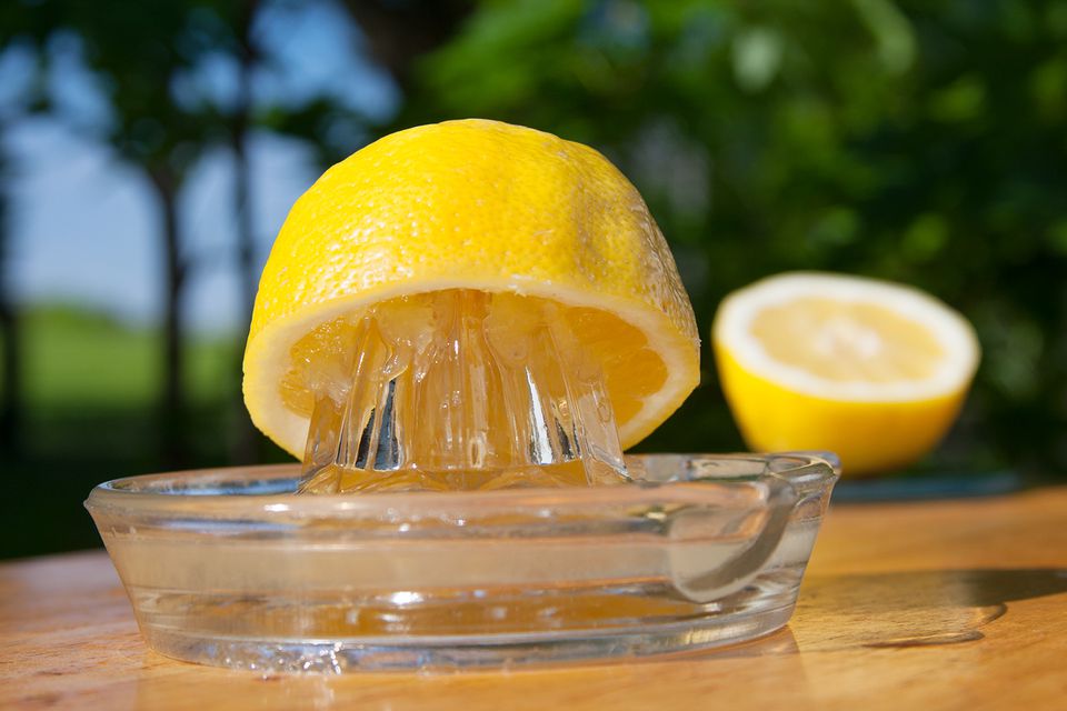 Пошаговое приготовление лимонного желе