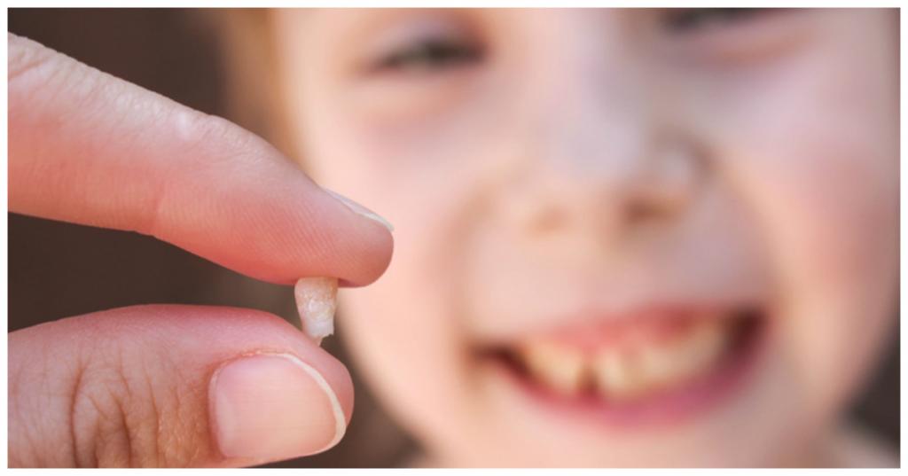 Куда девать молочные зубы: народные приметы, суеверия и толкования