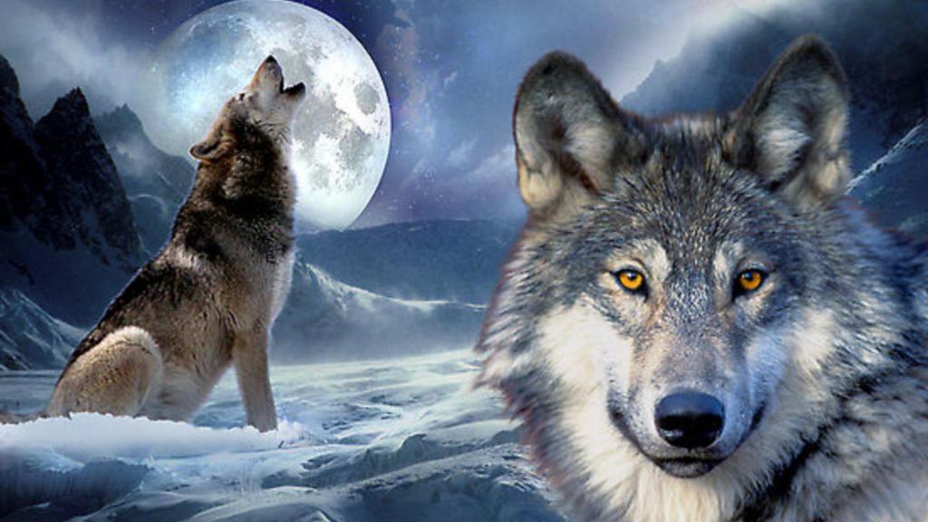 толкование снов волк