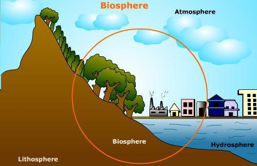 понятие биосферы