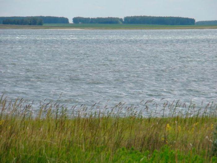 озеро горькое новосибирская область отзывы