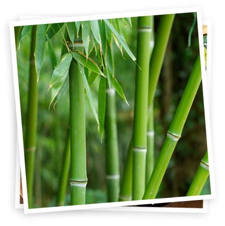 постельное белье бамбук