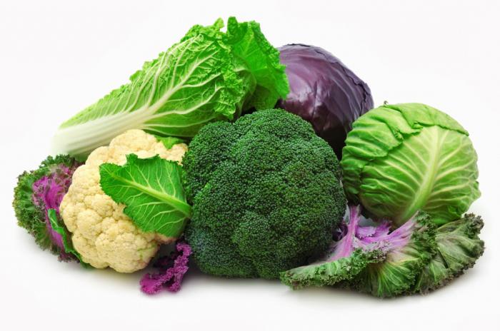 виды капустных овощей