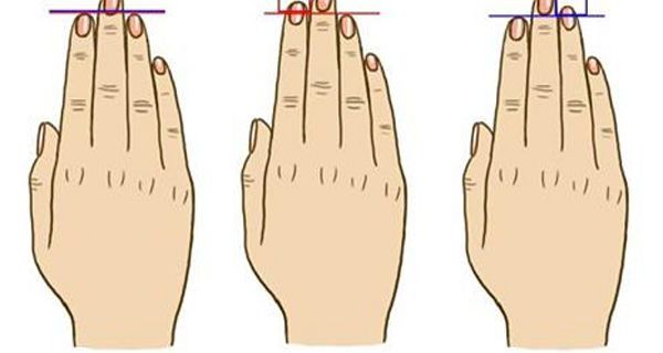 о чём говорит длина пальцев на руках у мужчин