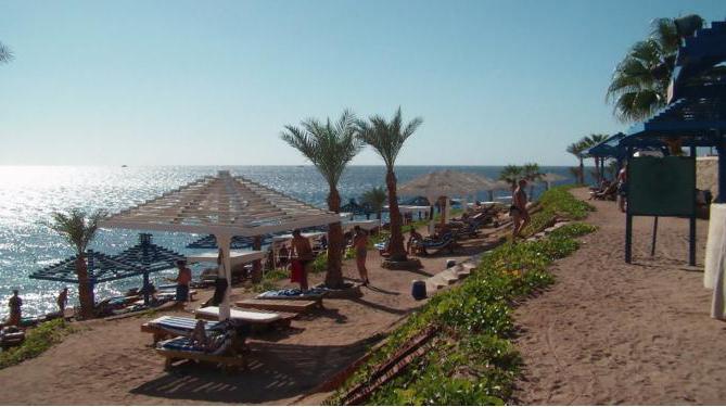  египет aa grand oasis resort 4 