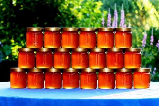 мед подсолнечниковый польза