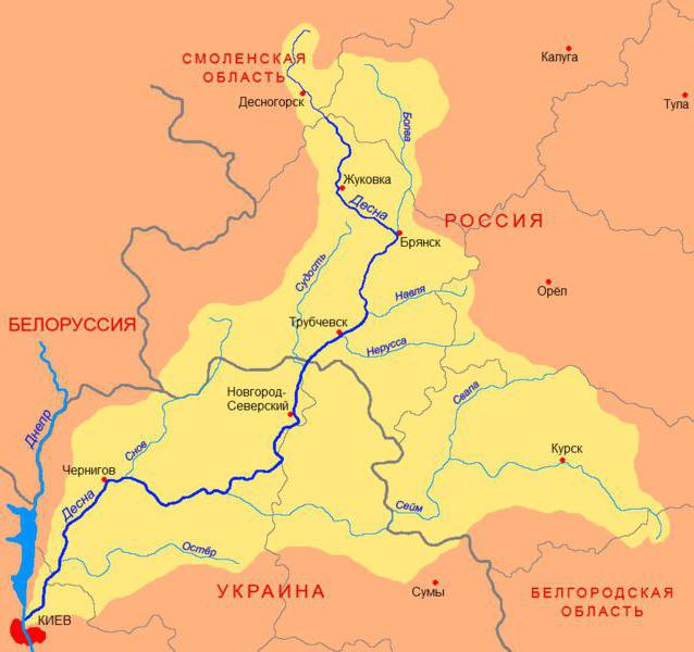 река десна карта