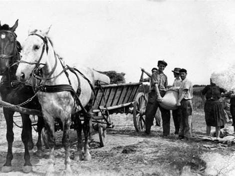 Какие причины тормозили развитие крестьянских хозяйств в 1861