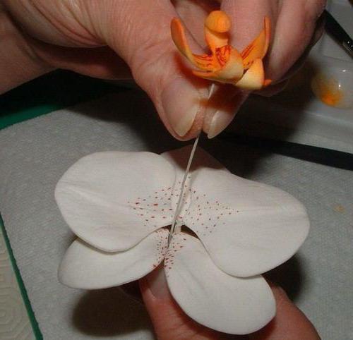 Орхидея из мастики пошагово