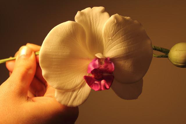 Орхидея из мастики пошагово