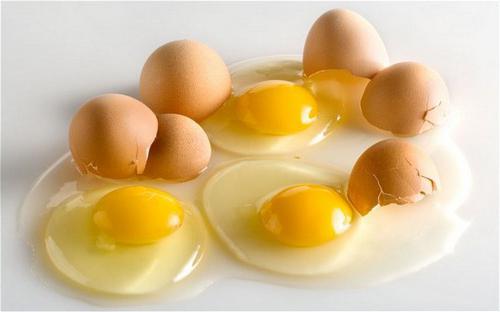 оболочки яйца птицы