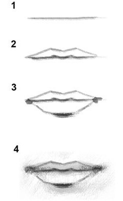 как нарисовать губы человека