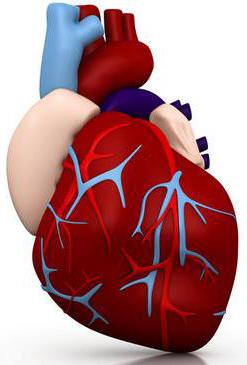 Функциональная кардиопатия у детей