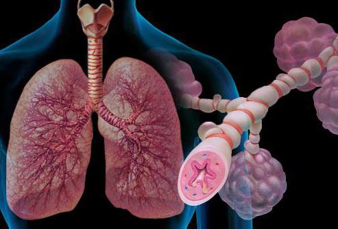 патогенез бронхиальной астмы кратко
