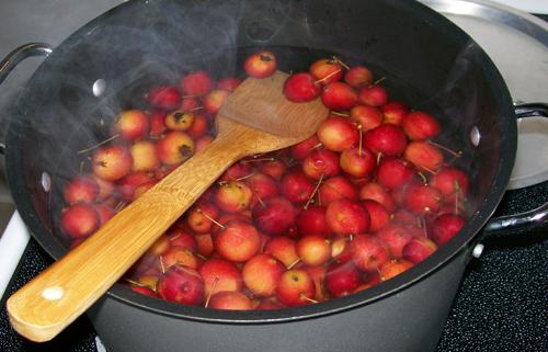 как варить варенье из китайки яблоки