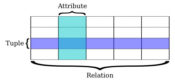 структура иерархической базы данных