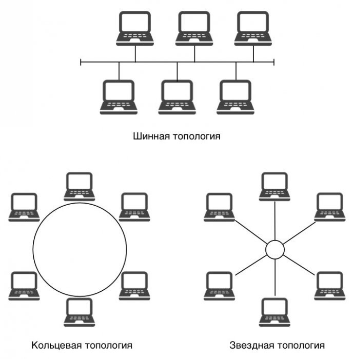 сетевая топология звезда