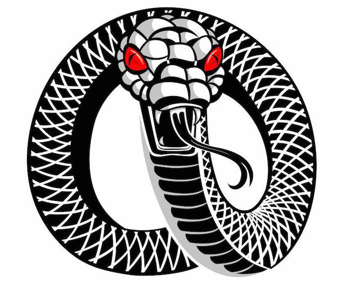 символ змеи значение