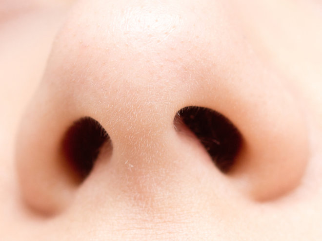 общенародная предзнаменование о зудящем носе