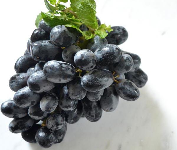 виноград гала описание сорта