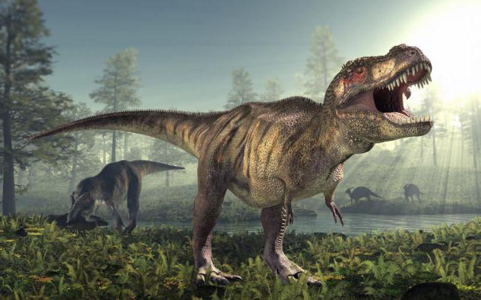 Тиранозавр против гигантозавра