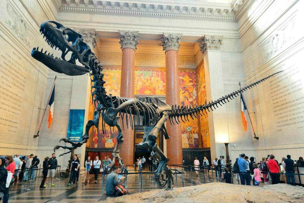 Тираннозавр - экспонат музея