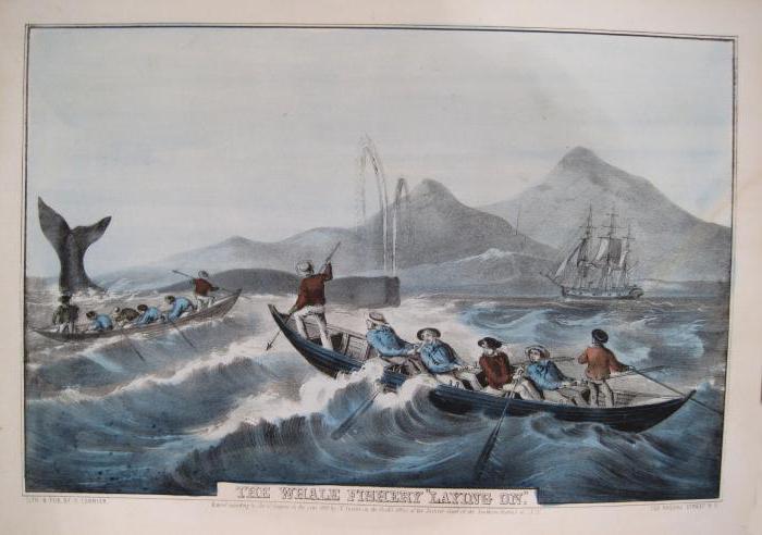 история китобойного промысла