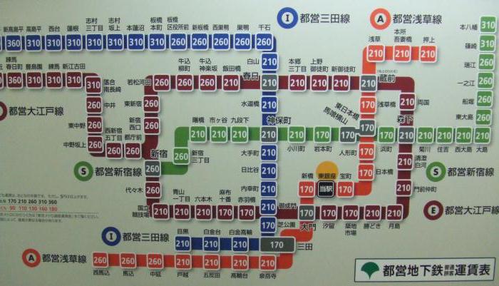 Количество станций токийского метро