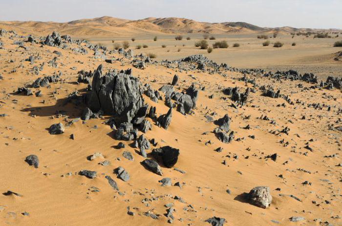 Нубийская пустыня описание