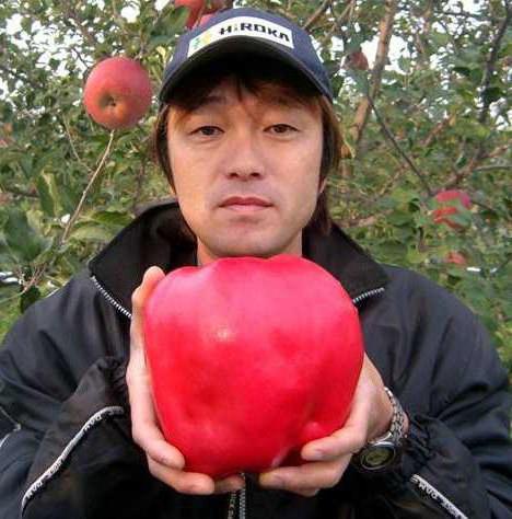 самое большое в мире яблоко