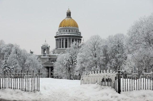 вольф эрлих и есенин