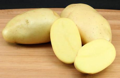 лучшие сорта картофеля описание рекомендации