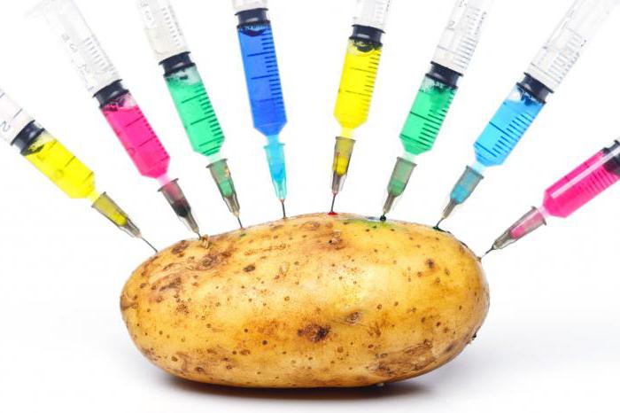 картофель киви описание сорта ГМО или нет