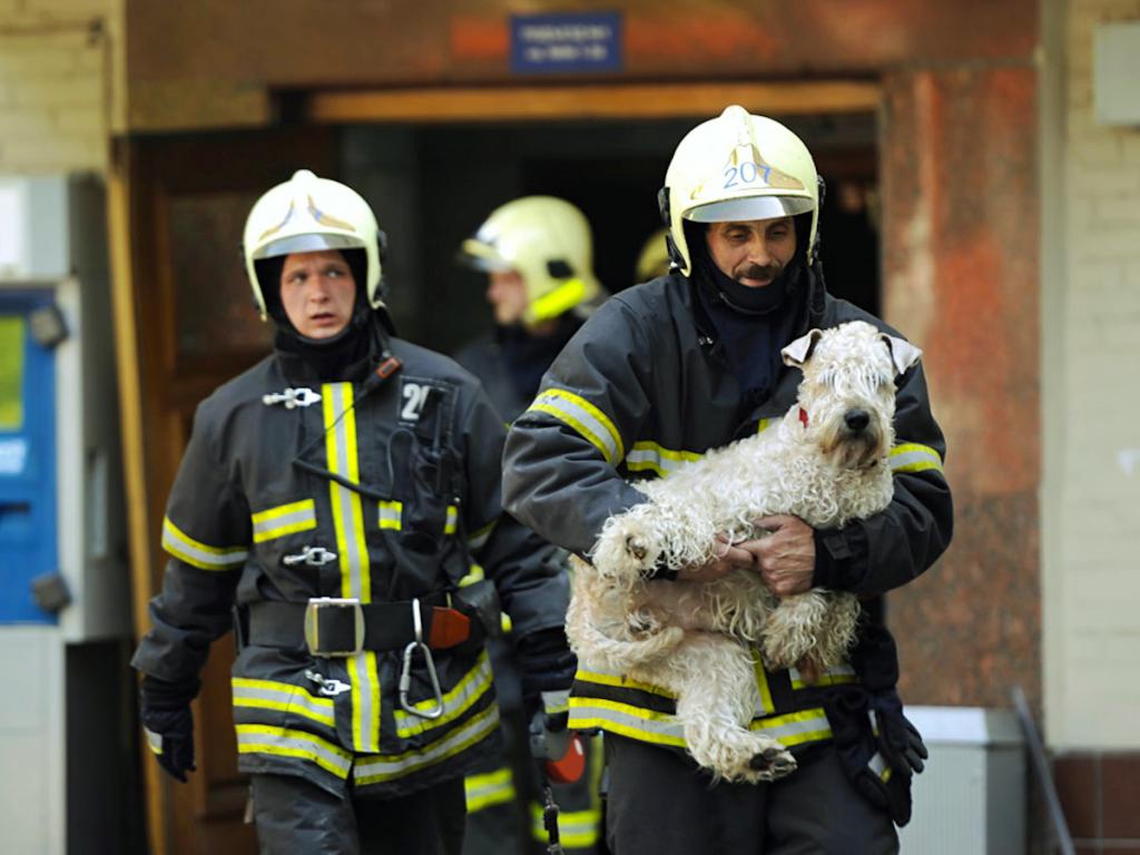 Пожарные спасают щенка