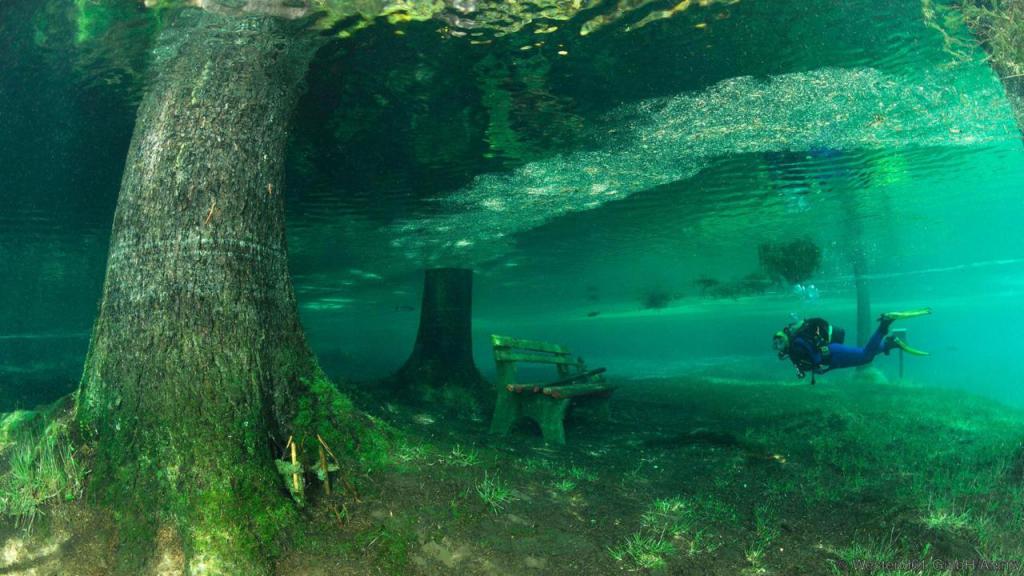 Озеро в парке Австрии