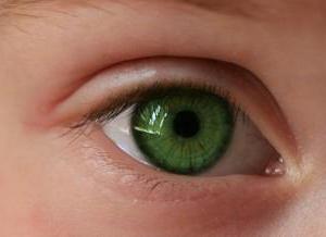 контактные линзы acuvue oasys for astigmatism