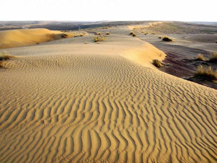 в глинистых пустынях туранской низменности обитают