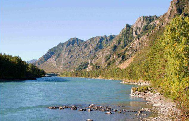 какая река в новосибирске