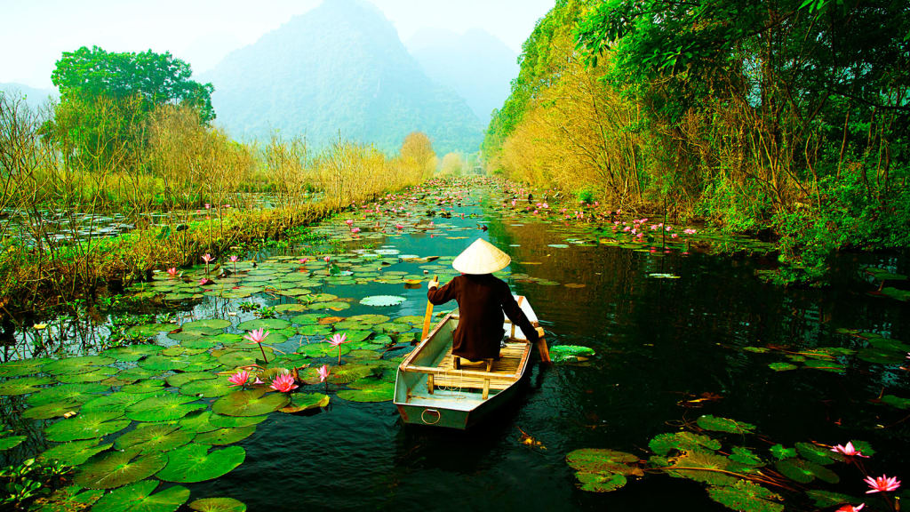 флора вьетнама