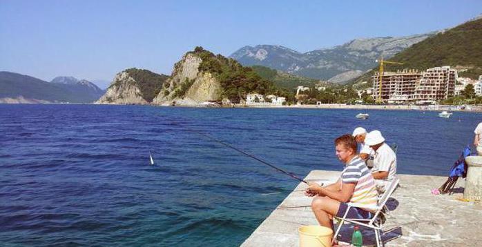 рыбалка спиннинг в черногории