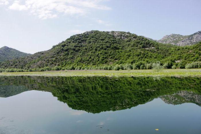 рыбалка на скадарском озере в черногории