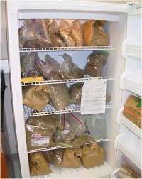 стратификация семян в холодильнике 