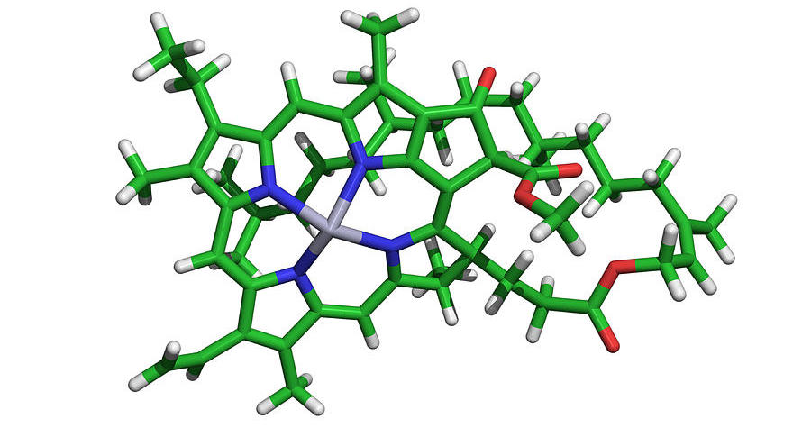 структура молекулы хлорофилла