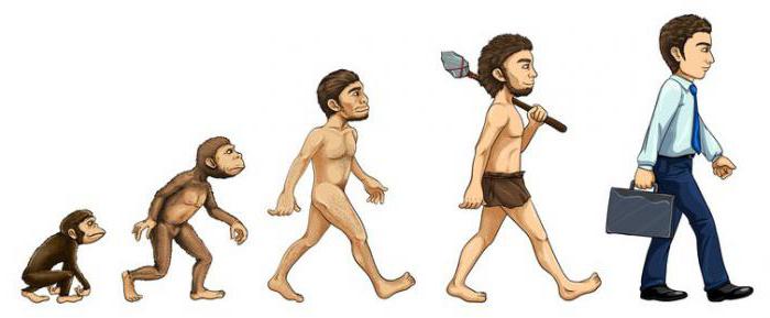 понятие эволюция