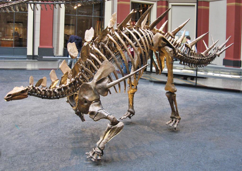 Травоядный динозавр