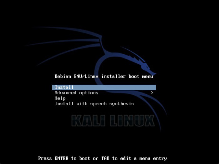 kali linux usb