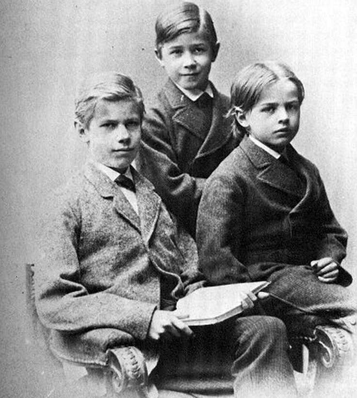 Макс Вебер (слева) с братьями Альфредом и Карлом