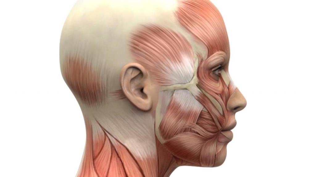 нейропатия лицевого нерва справа