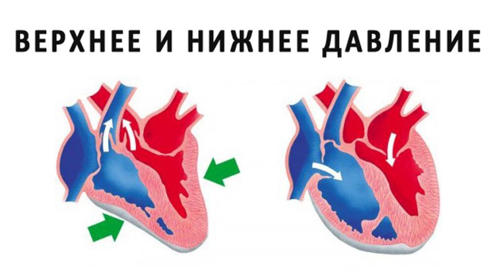 повышенное диастолическое давление при нормальном систолическом причины